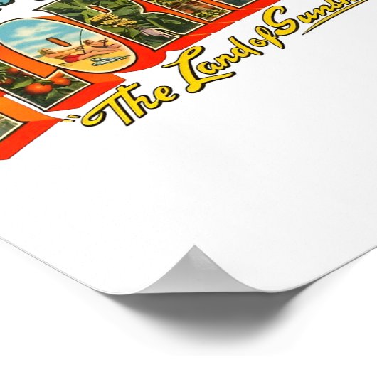 Vintage Florida  Logo Poster (Hoek)