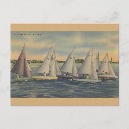 Vintage Florida Sailboat Racing Briefkaart (Voorkant)