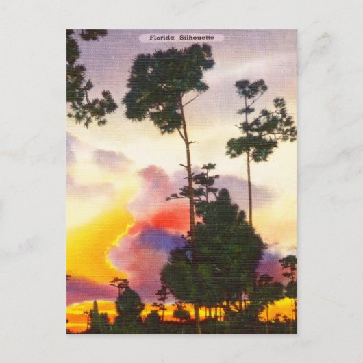Vintage Florida Silhouette Sunrise Sunset Travel Briefkaart (Voorkant)