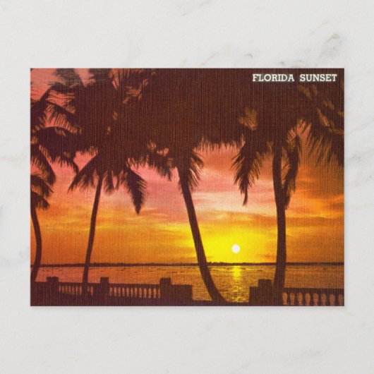 Vintage Florida Sunset Travel Briefkaart (Voorkant)