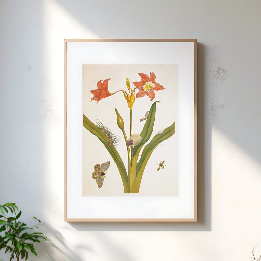 Vintage Flower Plant Botanical Illustration Poster