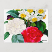 Vintage Flowers Briefkaart (Achterkant)
