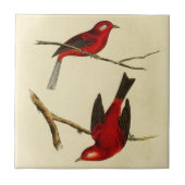 Vintage Flycatcher Bird Tegeltje (Voorkant)