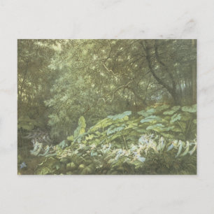 Vintage Forest Faerie Briefkaart