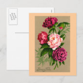 "Vintage Franse Kerstmis van het Feest Bonne" Feestdagenkaart (Voorkant / Achterkant)