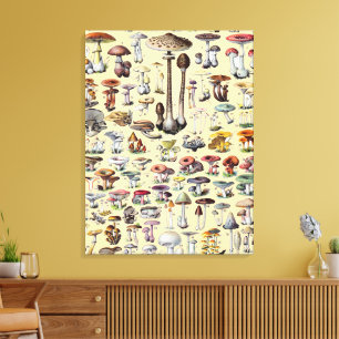 Vintage Franse Paddenstoel Cottagecore Botanische Canvas Afdruk