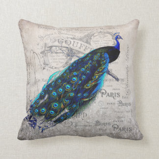Vintage Franse Parijse Pauw Kunst Kussen