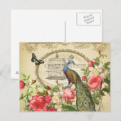 Vintage Franse Sjofele Elegante Pauw Briefkaart (Voorkant / Achterkant)