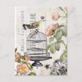 Vintage French bird postcard Briefkaart (Voorkant)