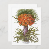 Vintage Fritillaria Flowers, Basilius Besler (Voorkant / Achterkant)