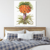 Vintage Fritillaria Flowers, Basilius Besler Canvas Afdruk (Insitu (Slaapkamer))