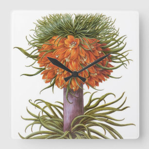Vintage Fritillaria Flowers, Basilius Besler Vierkante Klok