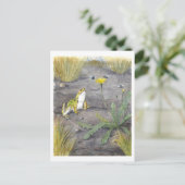 Vintage Frog and Dandelion Briefkaart (Staand voorkant)
