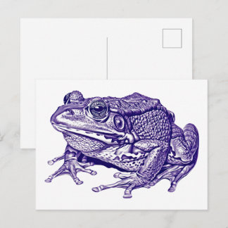 Vintage frog drawing briefkaart