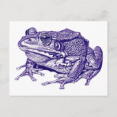 Vintage frog drawing briefkaart (Voorkant)