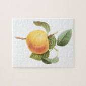 Vintage Fruit Food, Calville Apple van Redoute Legpuzzel (Horizontaal)