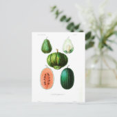 Vintage fruitmeloen botanische afdrukken briefkaart (Staand voorkant)