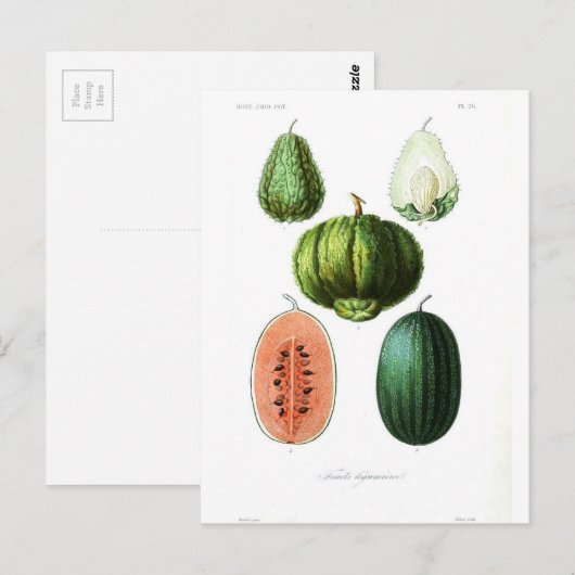 Vintage fruitmeloen botanische afdrukken briefkaart (Voorkant / Achterkant)