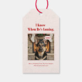 Vintage Funny Pet Dog Photo Christmas Holiday Cadeaulabel (Achterkant)