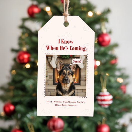 Vintage Funny Pet Dog Photo Christmas Holiday Cadeaulabel