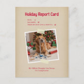 Vintage Funny Pet Photo Christmas Holiday Postcard Feestdagenkaart (Voorkant)