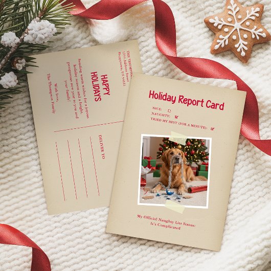 Vintage Funny Pet Photo Christmas Holiday Postcard Feestdagenkaart