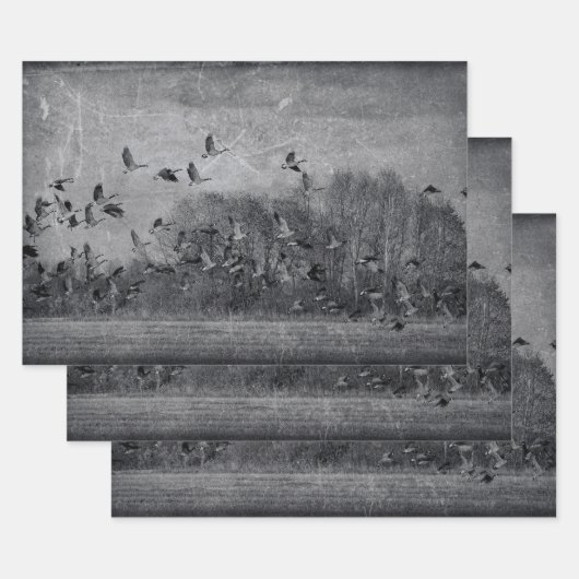 Vintage ganzen, zwart en wittextuur, ontkoppeling inpakpapier vel (Set)