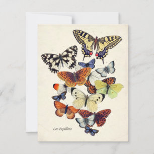 Vintage Garden Butterflies Kaart