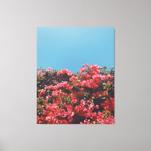 Vintage Geïnspireerde Bougainvillea Flowers Califo Canvas Afdruk (Voorkant)