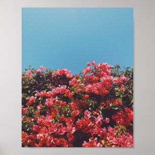 Vintage Geïnspireerde Bougainvillea Flowers Califo Poster