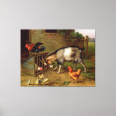 Vintage geitenpoester en kippen landbouwhuisdieren canvas afdruk (Voorkant)