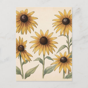 Vintage Gele Black-Eyed Susan Botanisch Briefkaart