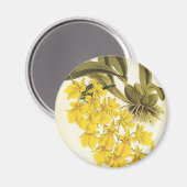 Vintage Gele Oncidium Orchidee, Tropische Bloemen Magneet (Voorkant / Achterkant)