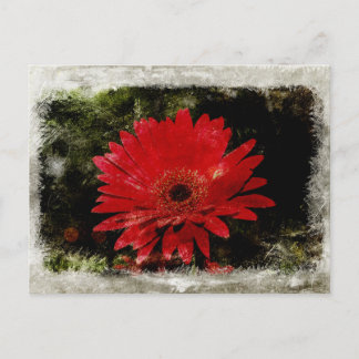 Vintage Gerber Daisy Briefkaart