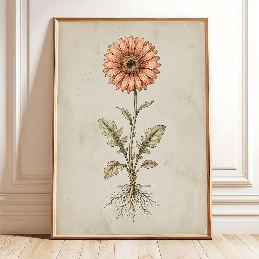 Vintage Gerbera Daisy Muur Kunstprint Poster