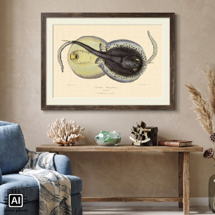 Vintage gespikkelde pijlstaartroggen, mariene ocea poster