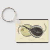 Vintage gespikkelde Stingrays, mariene oceandieren Sleutelhanger (Achterkant)