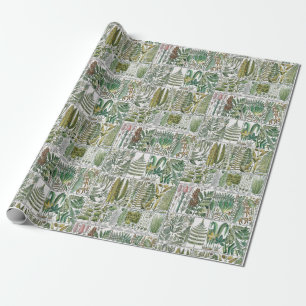Vintage gestileerde varens botanische boekplaat #6 cadeaupapier