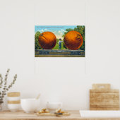 Vintage Giant California Sinaasappels Briefkaart Poster (Keuken)