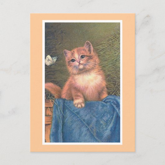 vintage "Ginger Kitten en Butterfly" Briefkaart (Voorkant)