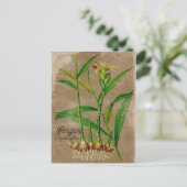 Vintage Ginger Root Plant Briefkaart (Staand voorkant)