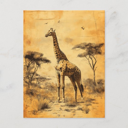 Vintage Giraffe Südafrika Savanne Postcard Briefkaart (Voorkant)