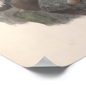 Vintage Golden Eagle Bird Poster (Hoek)