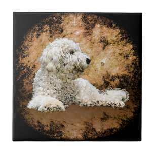 Vintage Goldoedle Dog Tegeltje