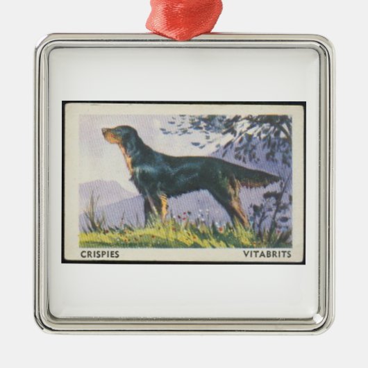 Vintage Gordon Setter Ornament (Voorkant)