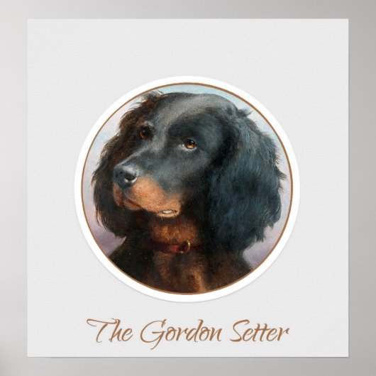Vintage Gordon Setter Poster (Voorkant)