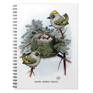 Vintage gouden-Bekroonde Kinglet Notitieboek