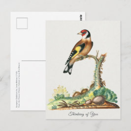 Vintage Goudvink Vogel Groeten Uit Briefkaart