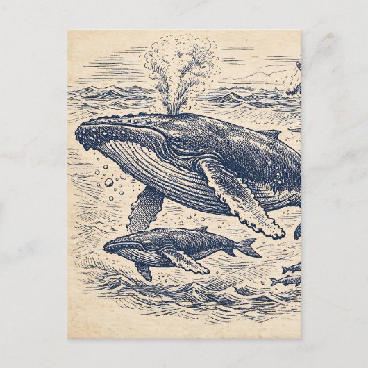 Vintage Gravure van een Bultruggenpodium Briefkaart (Voorkant)