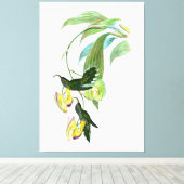 Vintage Green Sickle Bill Hummingbird Canvas Afdruk (Insitu (Houten vloer))